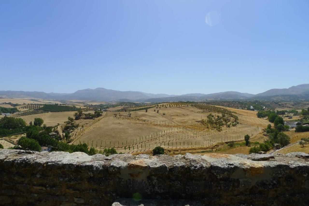 Salvatierra * Ronda